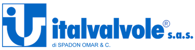 logo italvalvole