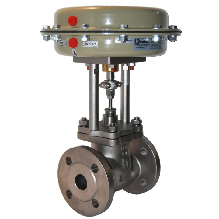 VALVOLE DI REGOLAZIONE SBS CF8M / CF3M 2 VIE